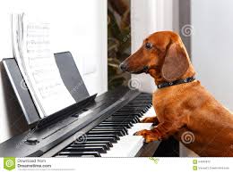Für Elise - Voor iedereen Für Elise - Voor iedereen